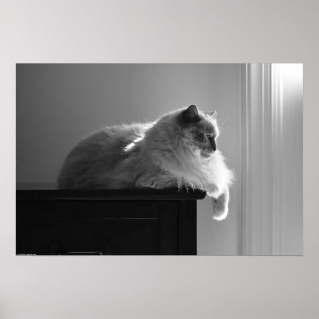 Långsamma dagar. poster (Framsidan)