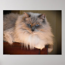 Långsamma dagar. poster