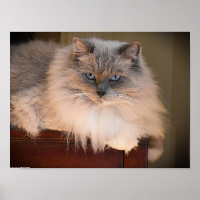 Långsamma dagar. poster (Framsidan)