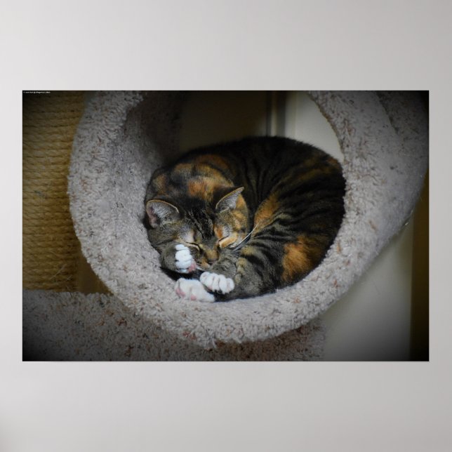 Långsamma dagar. poster (Framsidan)