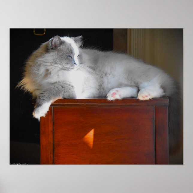 Långsamma dagar. poster (Framsidan)