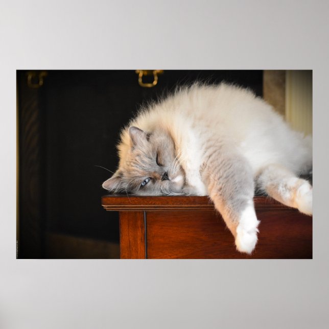 Långsamma dagar. poster (Framsidan)