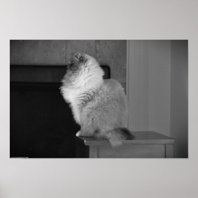 Långsamma dagar. poster (Framsidan)