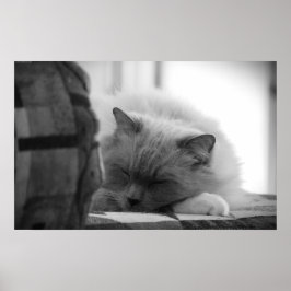 Långsamma dagar. poster