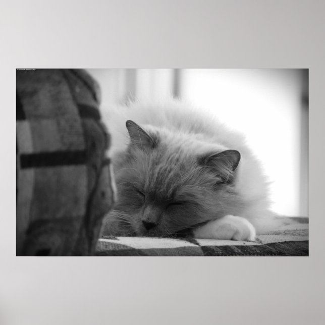 Långsamma dagar. poster (Framsidan)