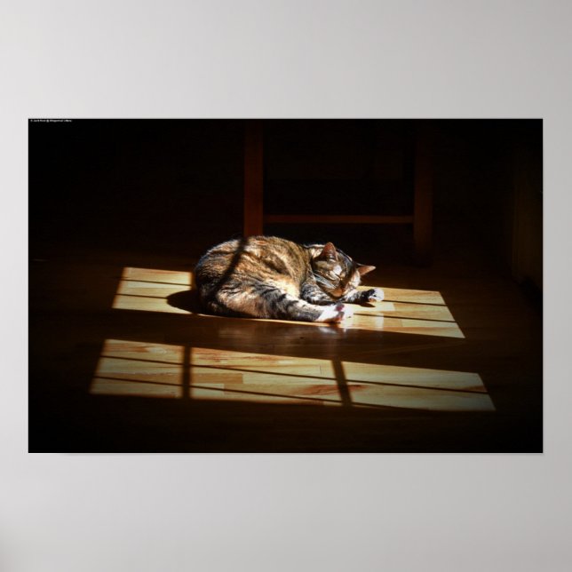 Långsamma dagar. poster (Framsidan)