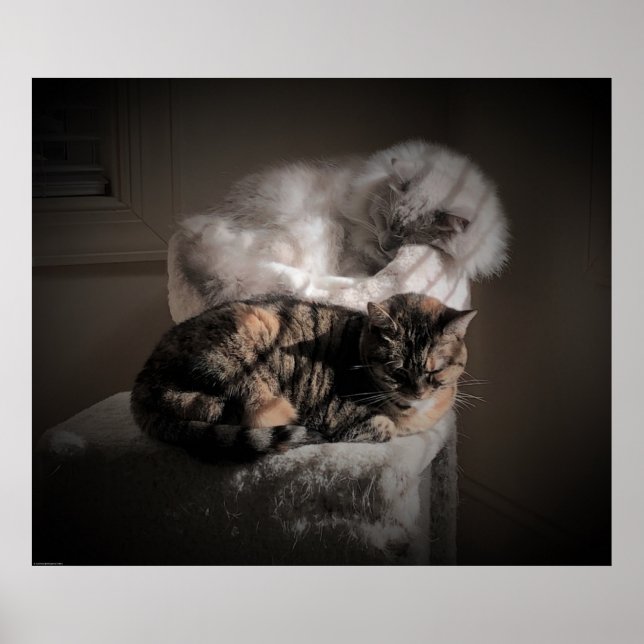 Långsamma dagar. poster (Framsidan)