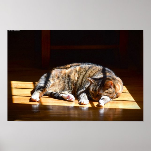 Långsamma dagar. poster (Framsidan)