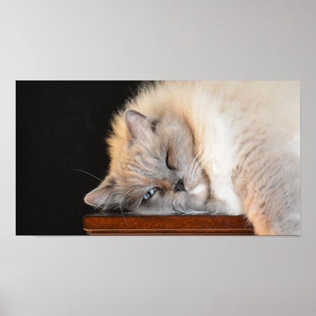 Långsamma dagar. poster (Framsidan)