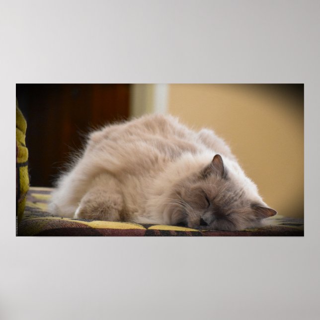 Långsamma dagar. poster (Framsidan)