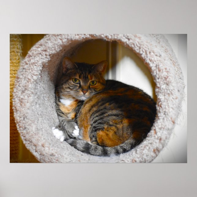 Långsamma dagar. poster (Framsidan)