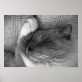 Långsamma dagar. poster