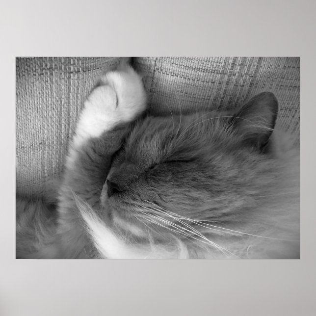 Långsamma dagar. poster (Framsidan)