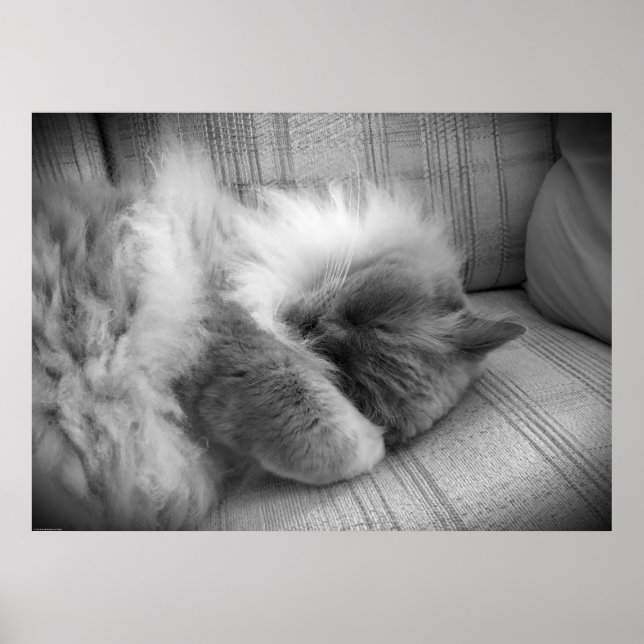 Långsamma dagar. poster (Framsidan)