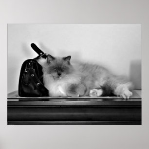 Långsamma dagar. poster