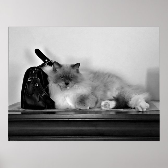 Långsamma dagar. poster (Framsidan)