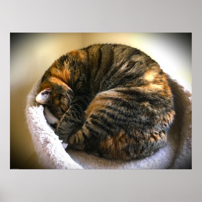 Långsamma dagar. poster (Framsidan)