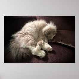 Långsamma dagar. poster