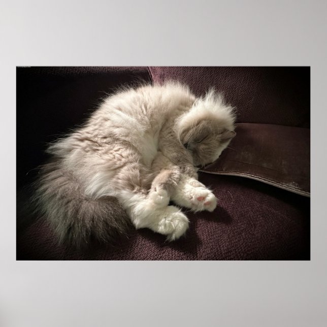 Långsamma dagar. poster (Framsidan)