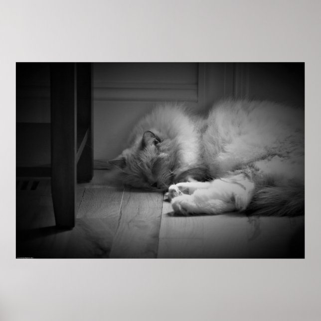 Långsamma dagar. poster (Framsidan)