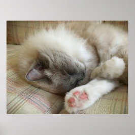 Långsamma dagar. poster