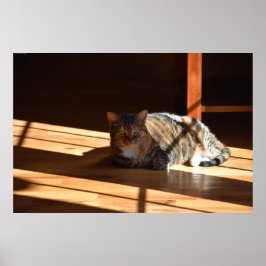 Långsamma dagar. poster