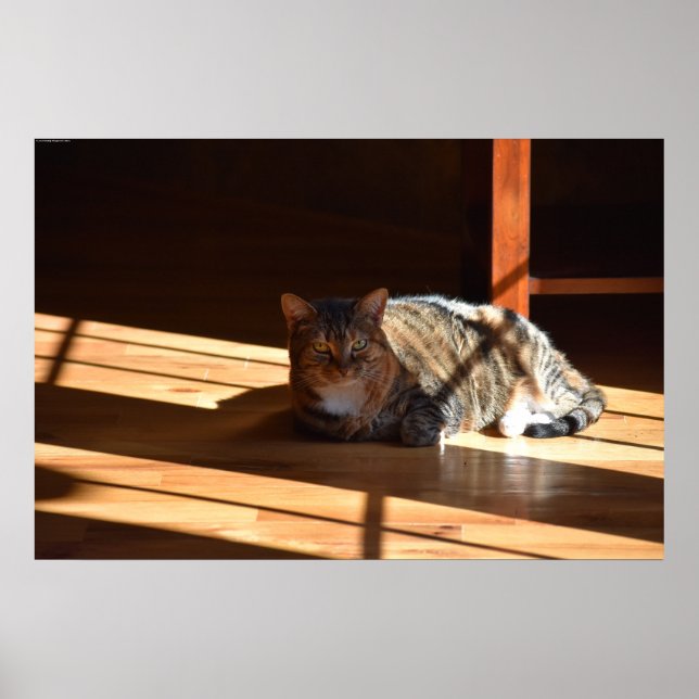 Långsamma dagar. poster (Framsidan)