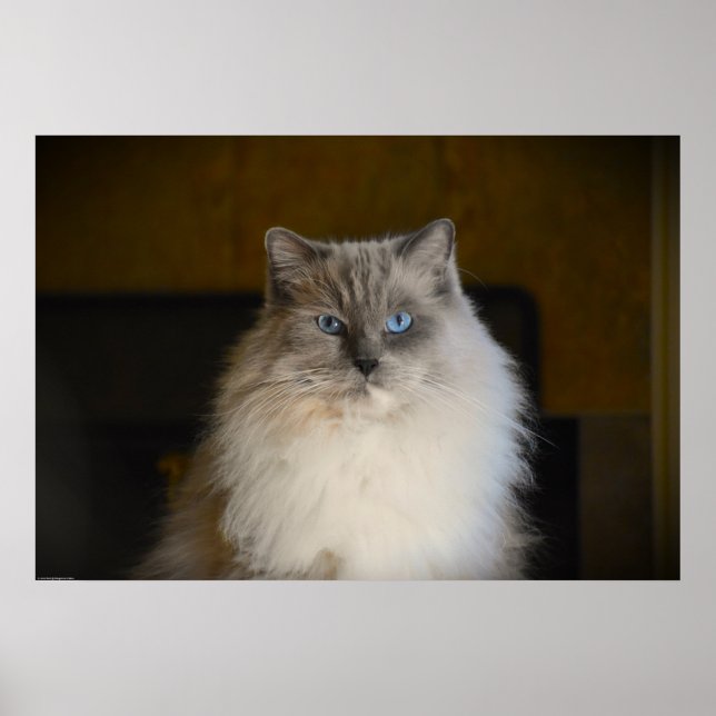 Långsamma dagar. poster (Framsidan)