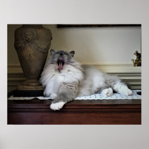 Långsamma dagar. poster