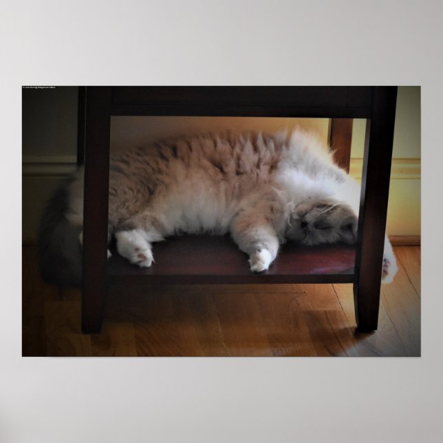 Långsamma dagar. poster (Framsidan)