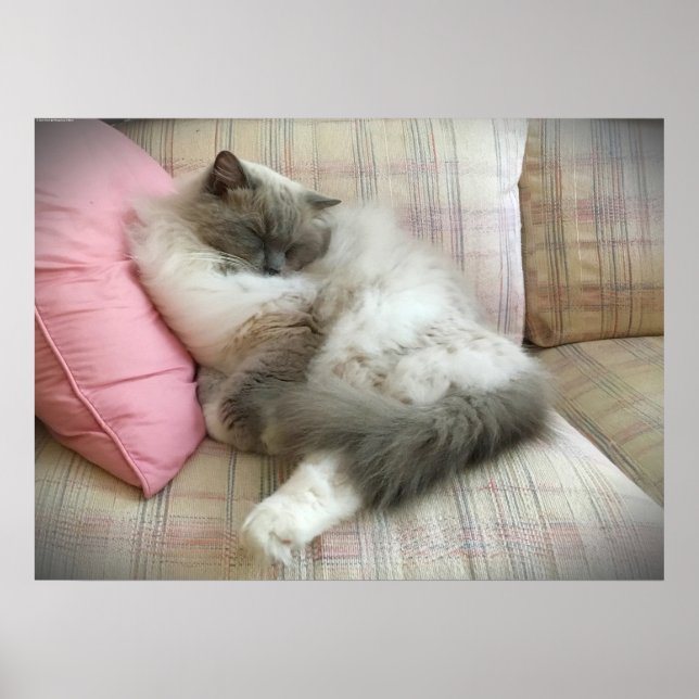 Långsamma dagar. poster (Framsidan)