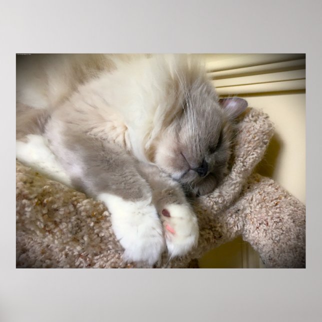 Långsamma dagar. poster (Framsidan)