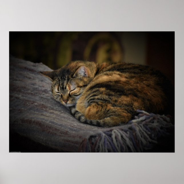 Långsamma dagar. poster (Framsidan)