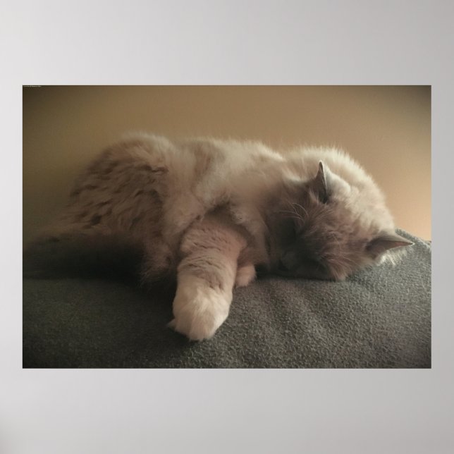 Långsamma dagar. poster (Framsidan)