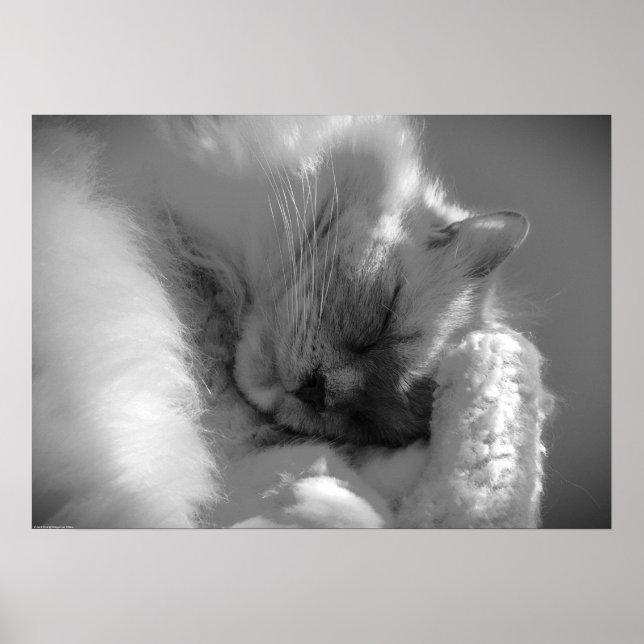 Långsamma dagar. poster (Framsidan)