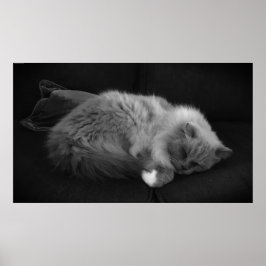 Långsamma dagar. poster