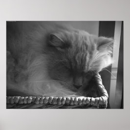 Långsamma dagar. poster