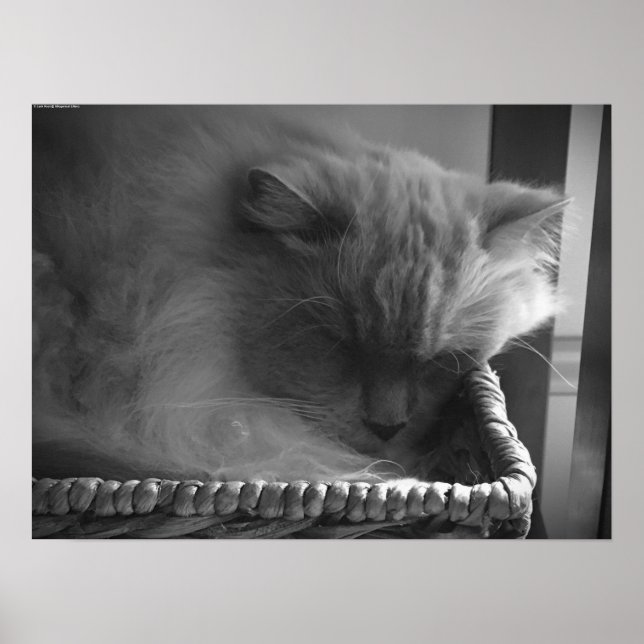 Långsamma dagar. poster (Framsidan)