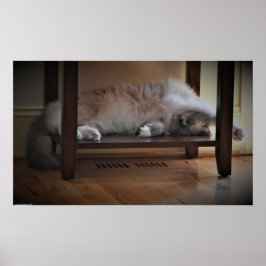 Långsamma dagar. poster