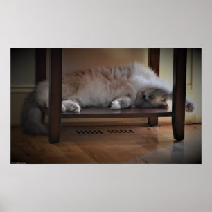 Långsamma dagar. poster