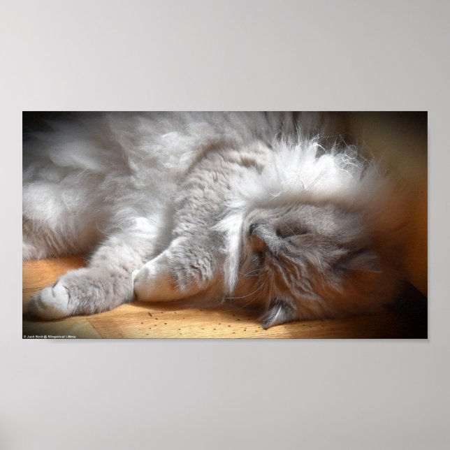 Långsamma dagar. poster (Framsidan)