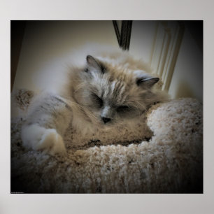 Långsamma dagar. poster