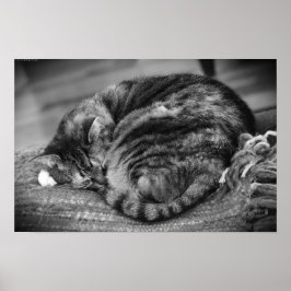 Långsamma dagar. poster