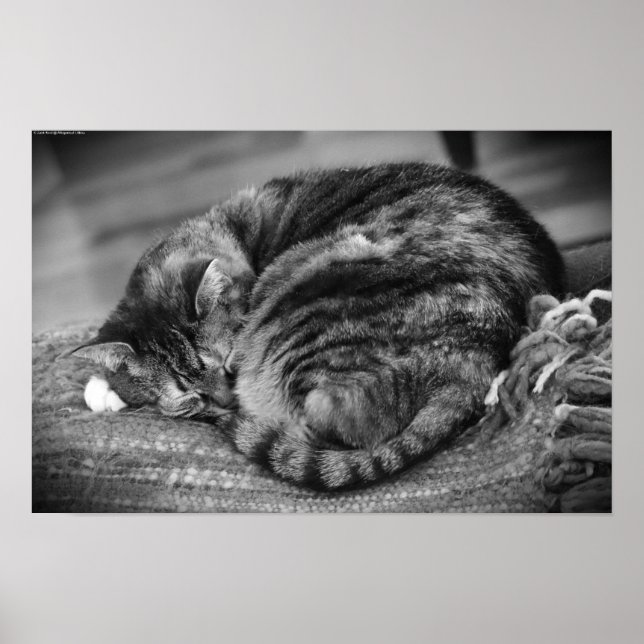 Långsamma dagar. poster (Framsidan)