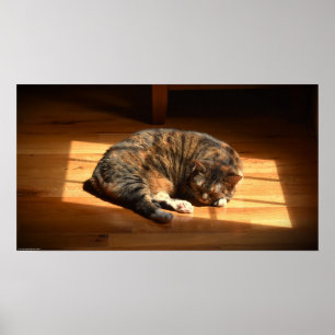 Långsamma dagar. poster