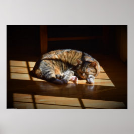 Långsamma dagar. poster