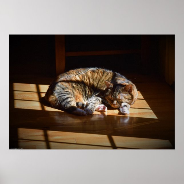 Långsamma dagar. poster (Framsidan)