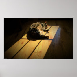 Långsamma dagar. poster