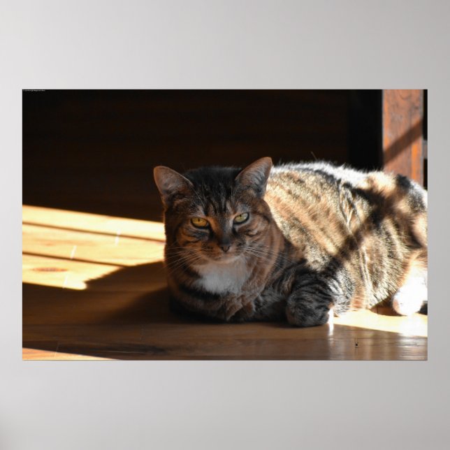 Långsamma dagar. poster (Framsidan)