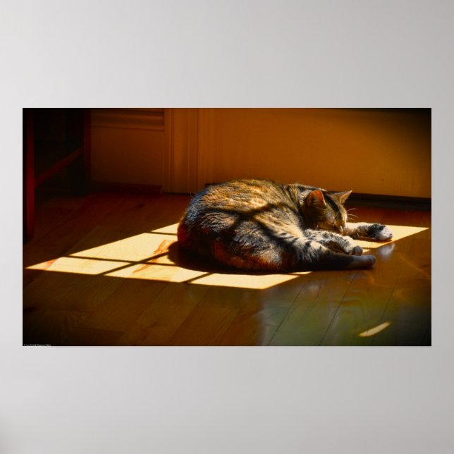 Långsamma dagar. poster (Framsidan)